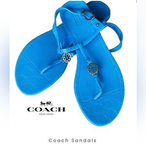 •COACH•NWOT BLUE PANSY JELLY THONG FLAT SANDALS SIZE 7